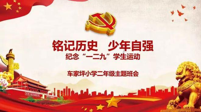 寻找萌宠松鼠
